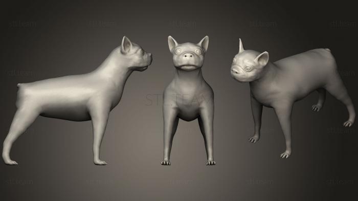 3D model Boston Terrier (STL)